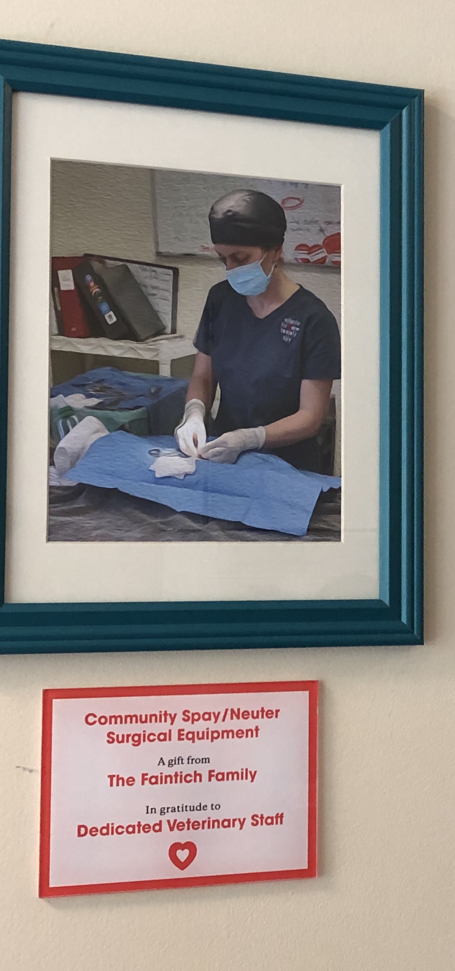 2019-05-26 15.46.26-1