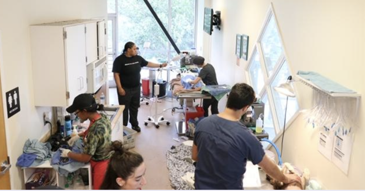 Screenshot 2023-09-20 at 12.00.02 AM